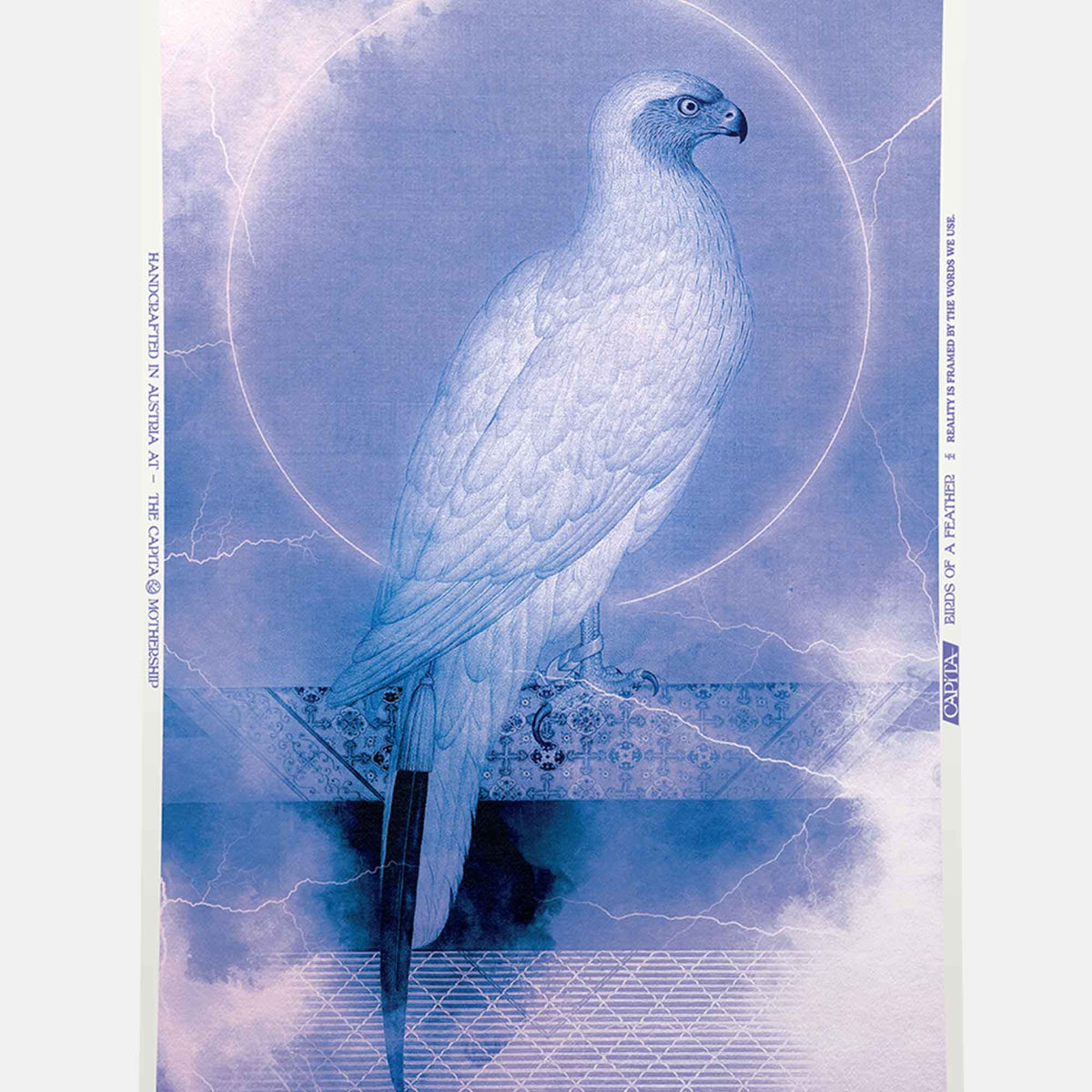 Birds Of A Feather