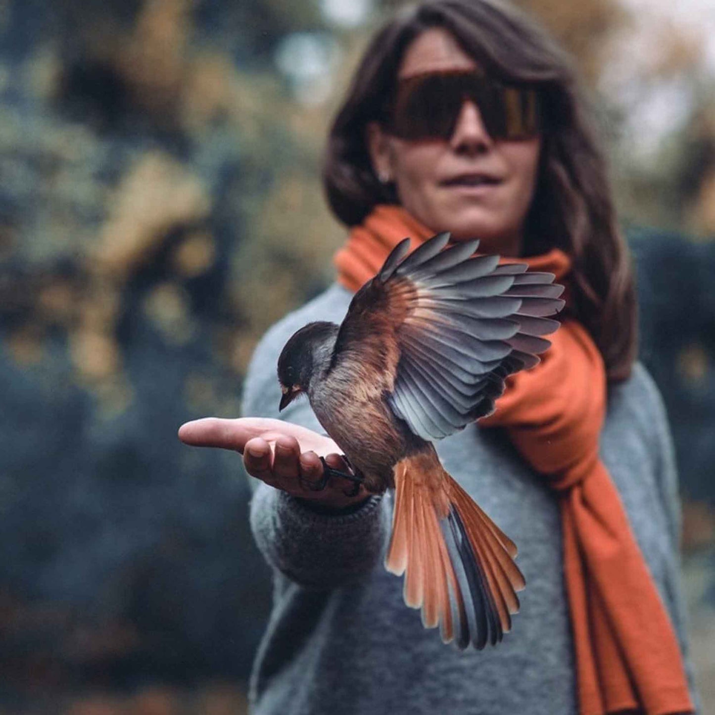 Erica | Turtle Brown / Brown