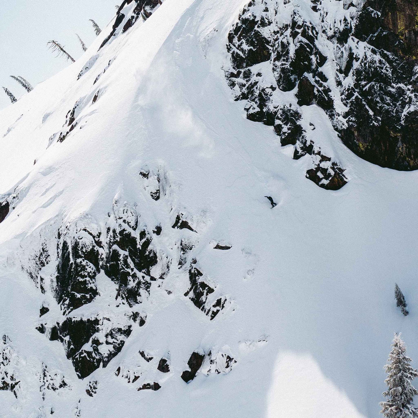 Cadet Snowboard