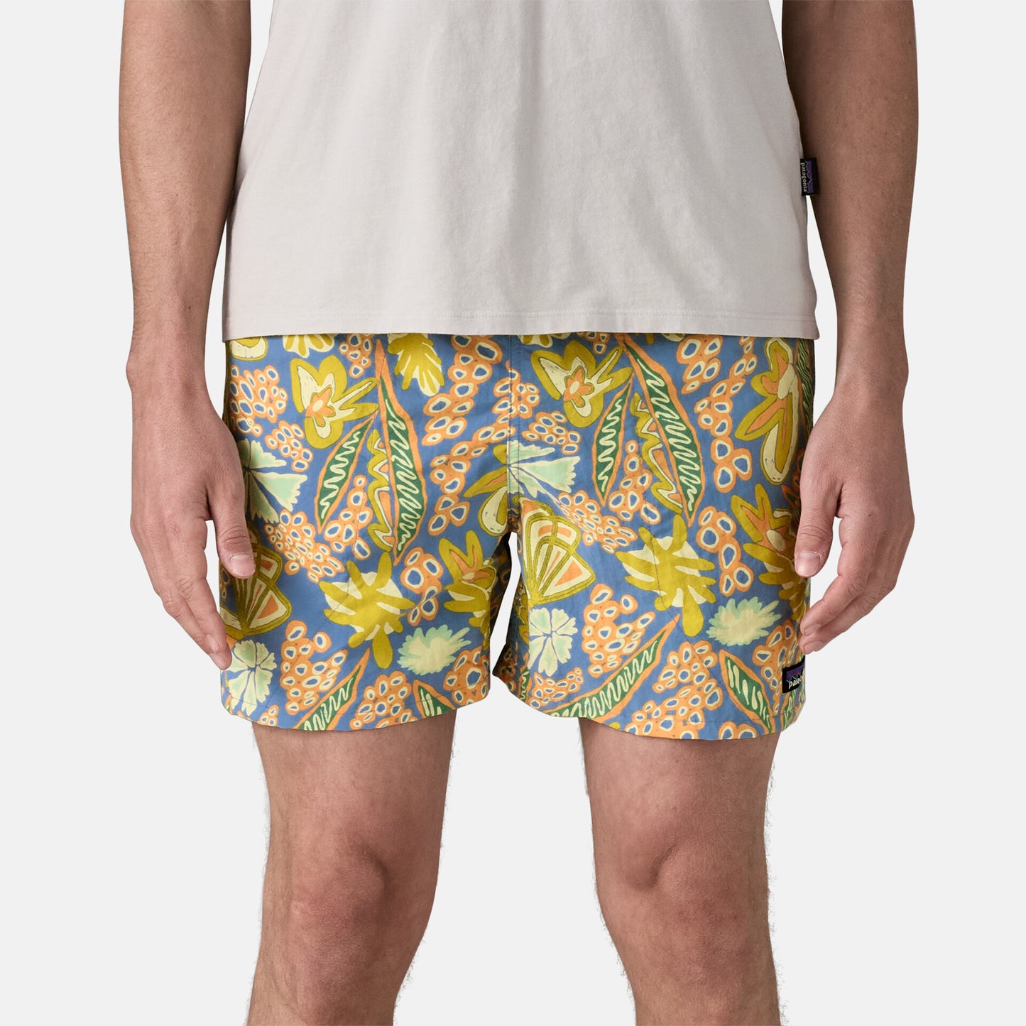 Baggies Shorts - 5 in. | FLRA