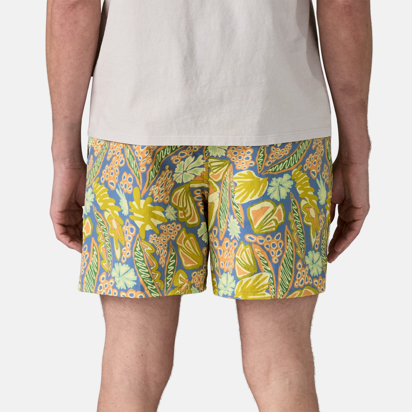 Baggies Shorts - 5 in. | FLRA