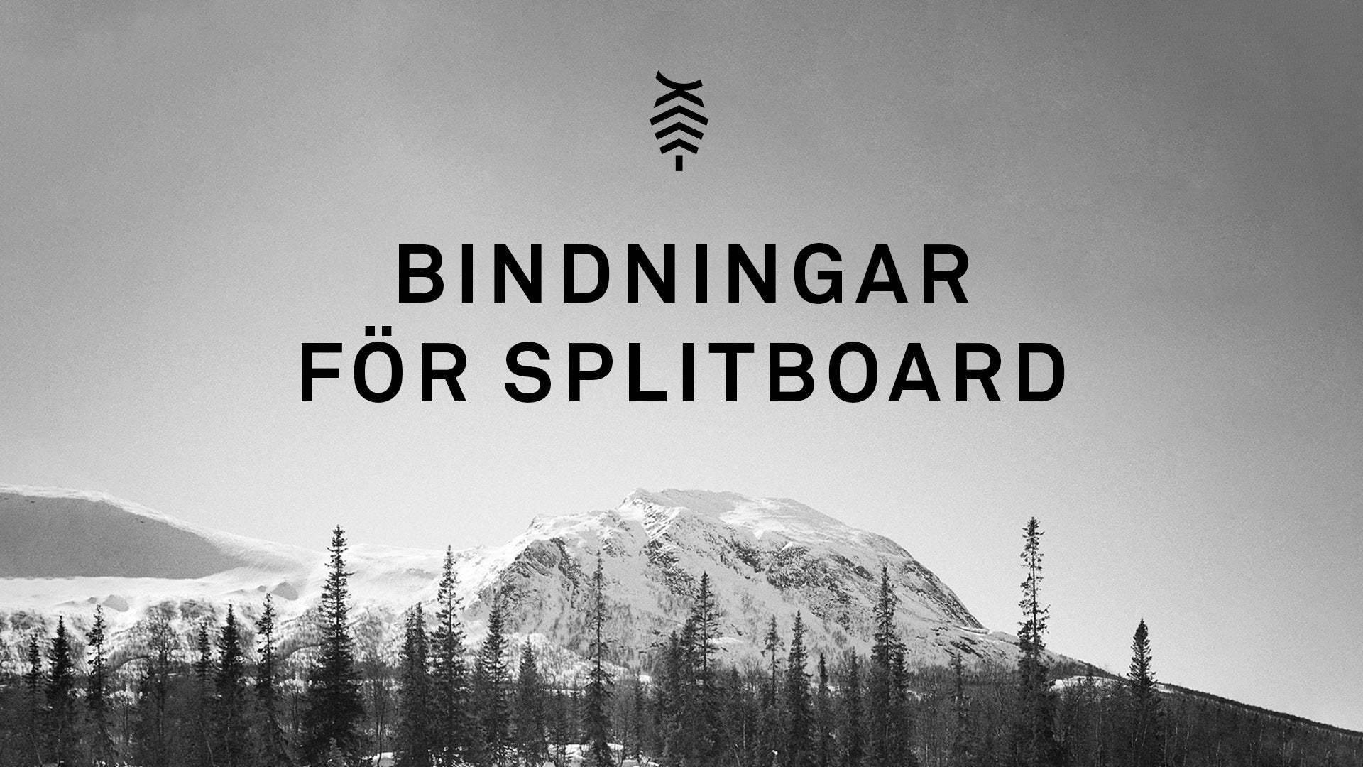 Ladda video: Film om att köpa Splitboard