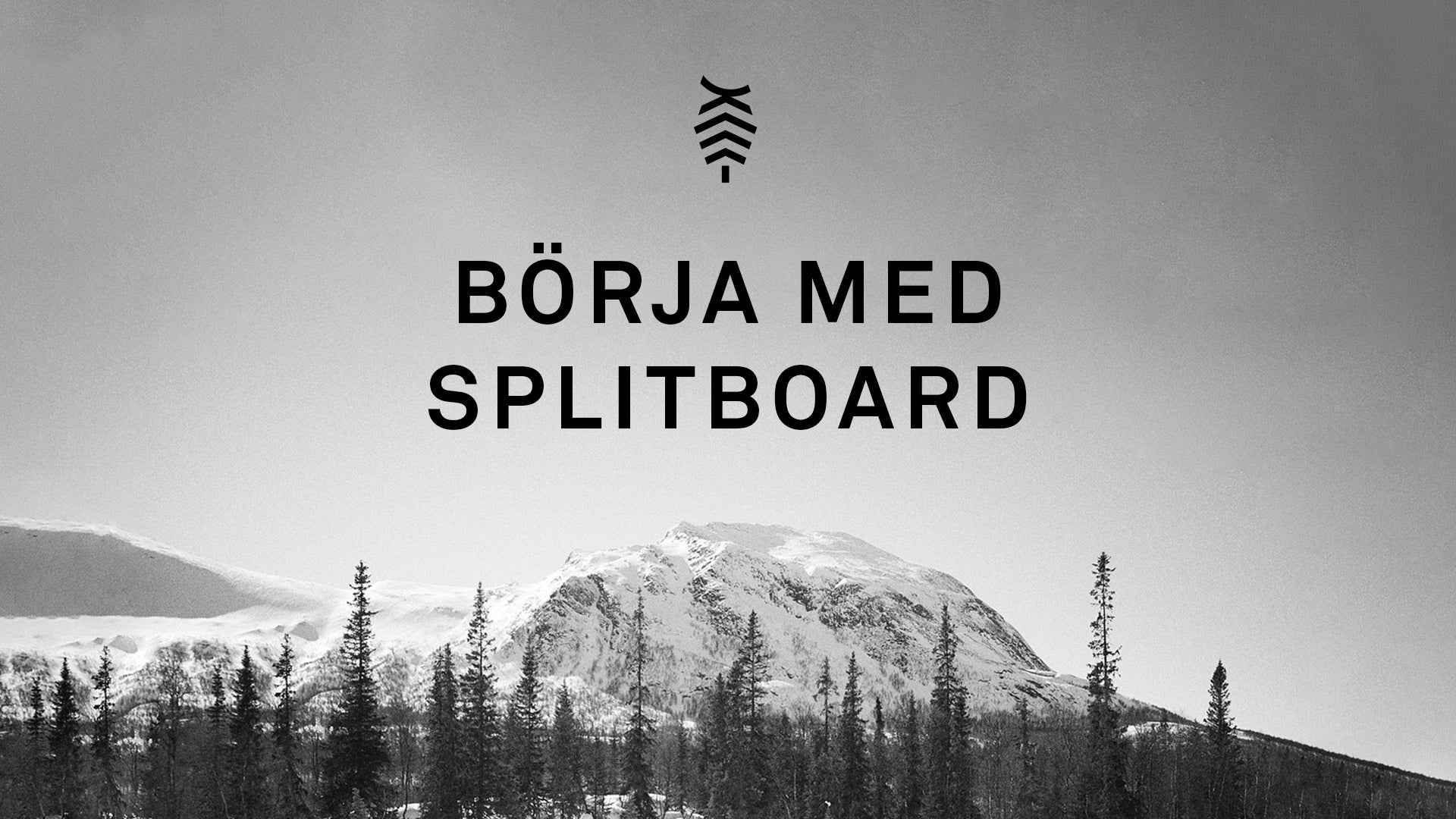 Ladda video: Film om att köpa Splitboard