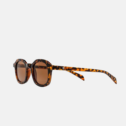 Anki | Turtle Brown / Brown
