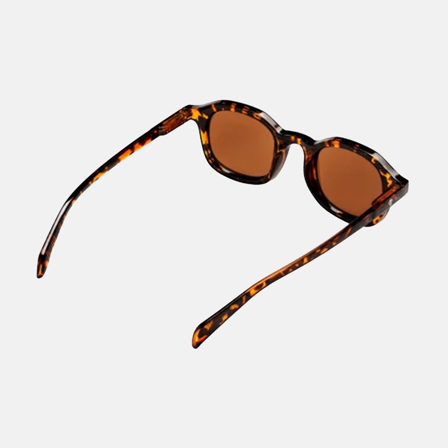 Anki | Turtle Brown / Brown
