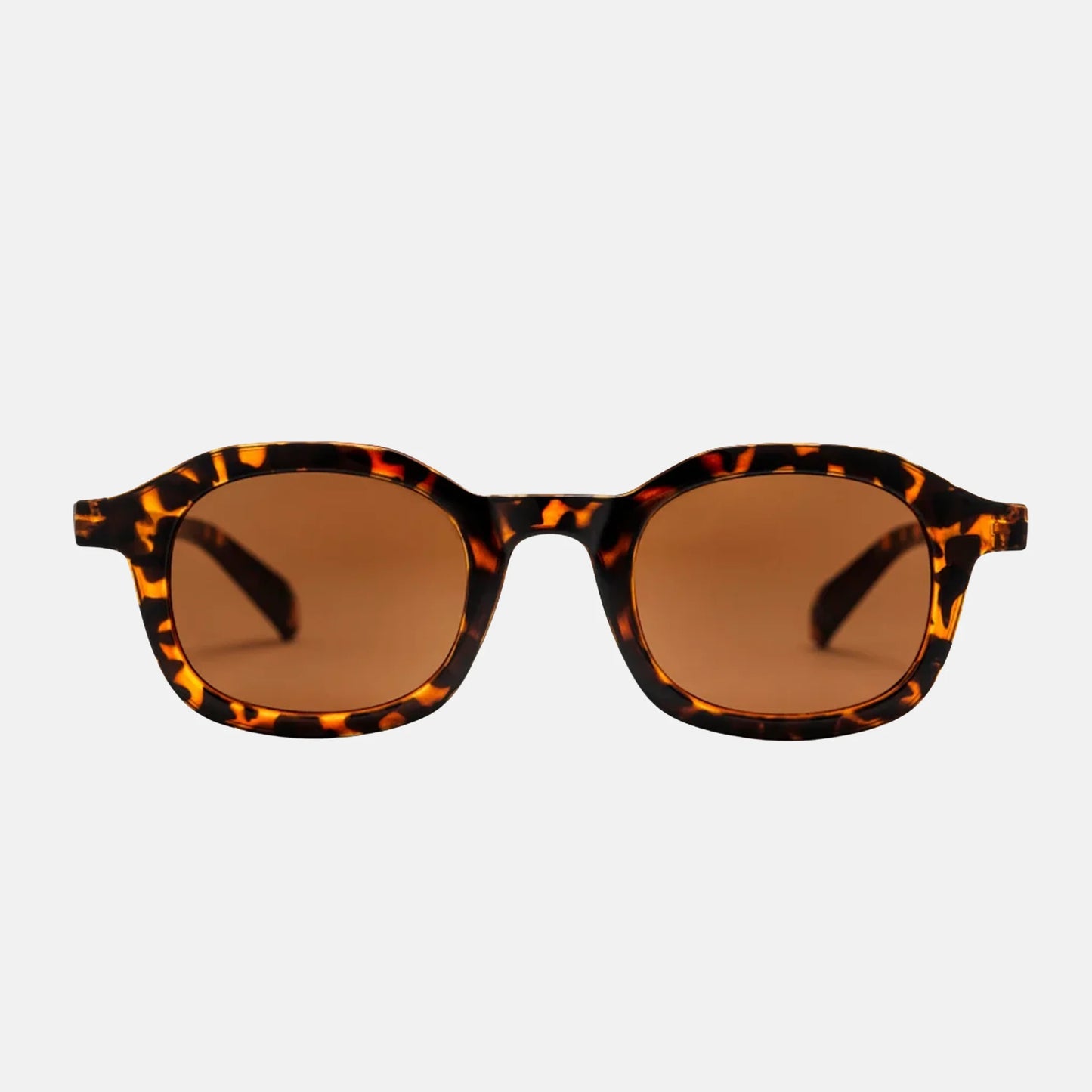 Anki | Turtle Brown / Brown