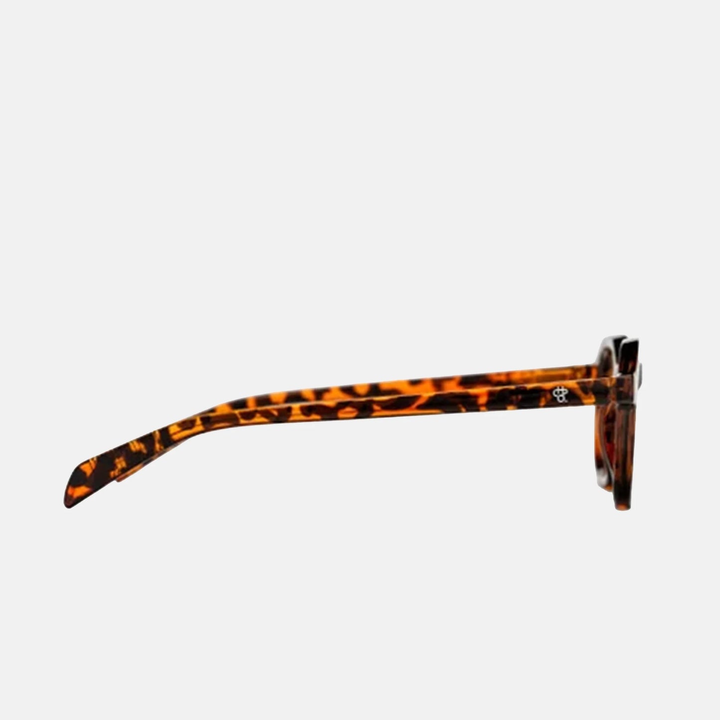 Anki | Turtle Brown / Brown