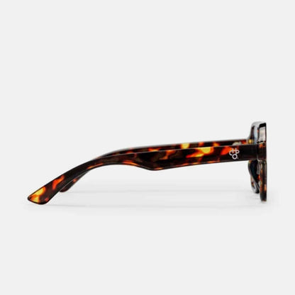 Cocas | Turtle Brown / Blue Light