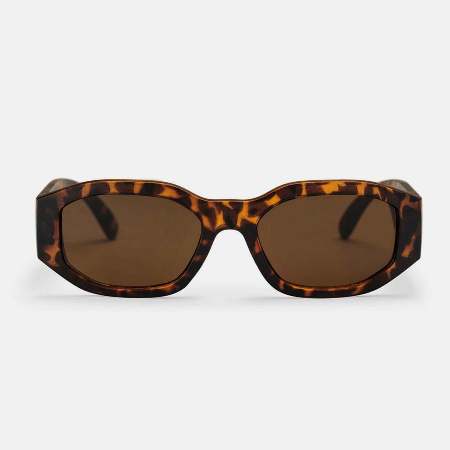 Brooklyn | Turtle Brown / Brown