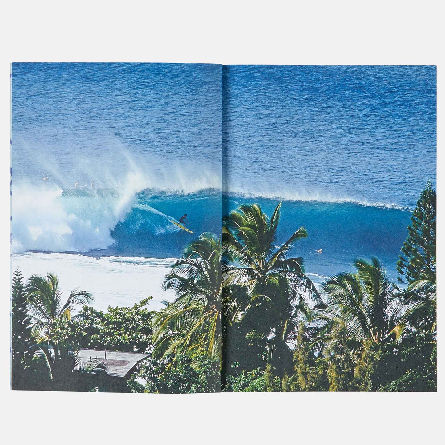 Surf is where you find it
