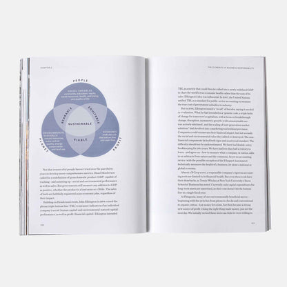 The Future of the Responsible Company 